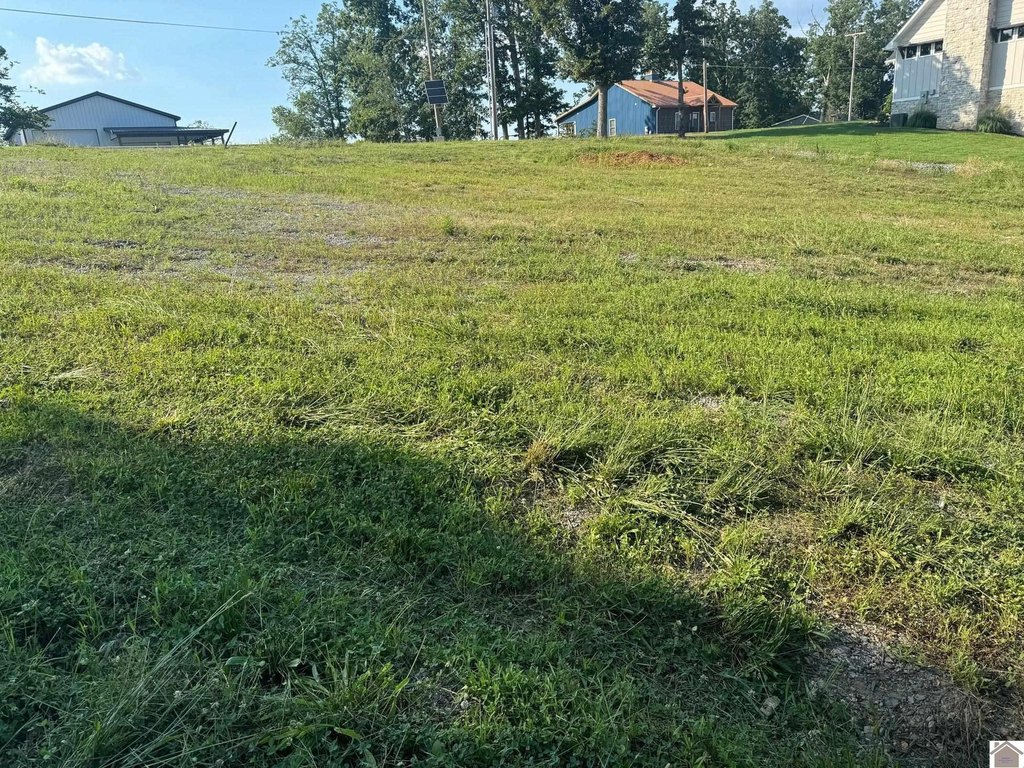 Picture 10