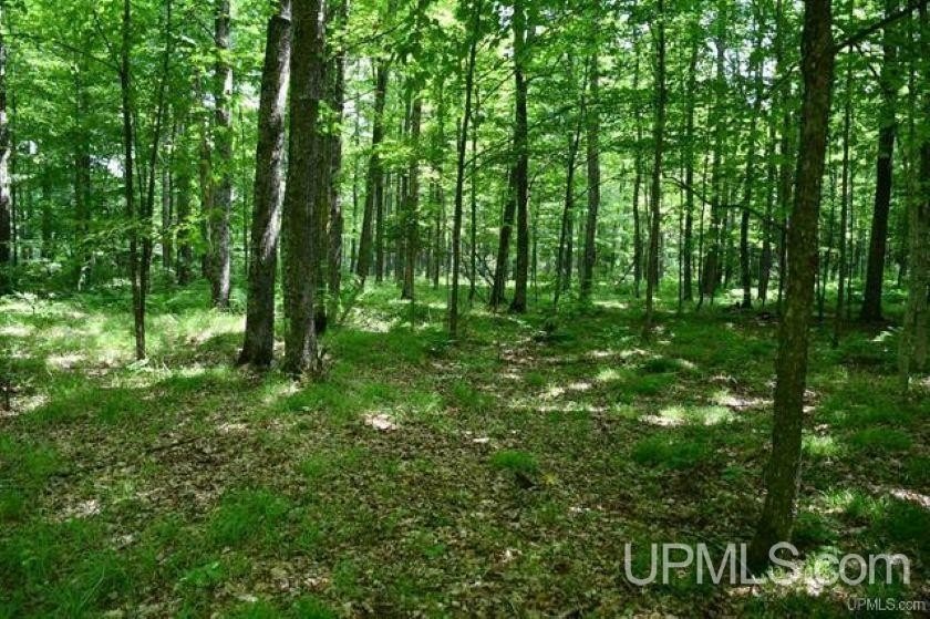 Picture 7