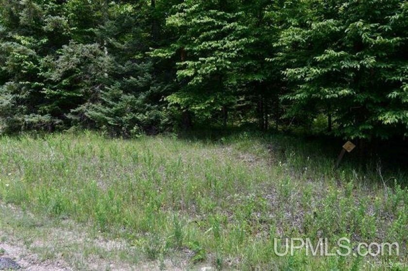 Picture 3