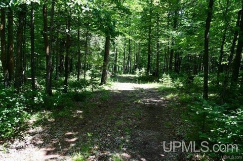 Hardwood, MI Land Parcel