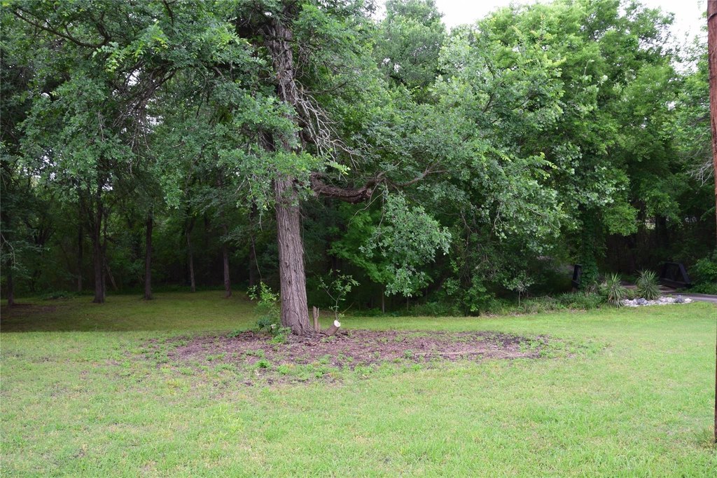Picture 3