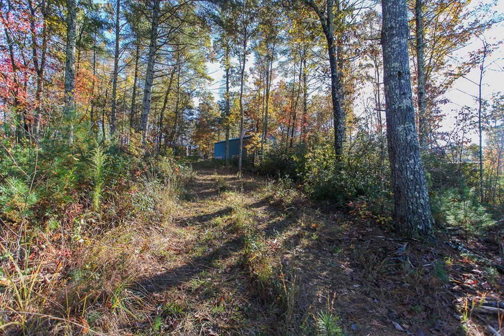 Picture 10
