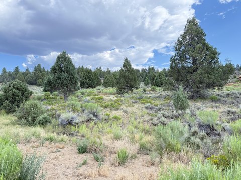 LAND - Duck Creek, UT