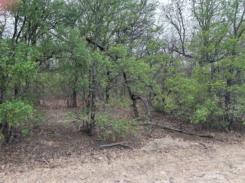 Picture 4