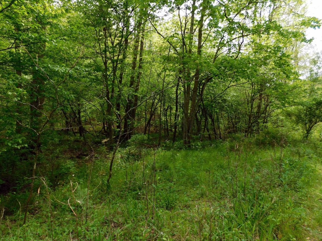Picture 38