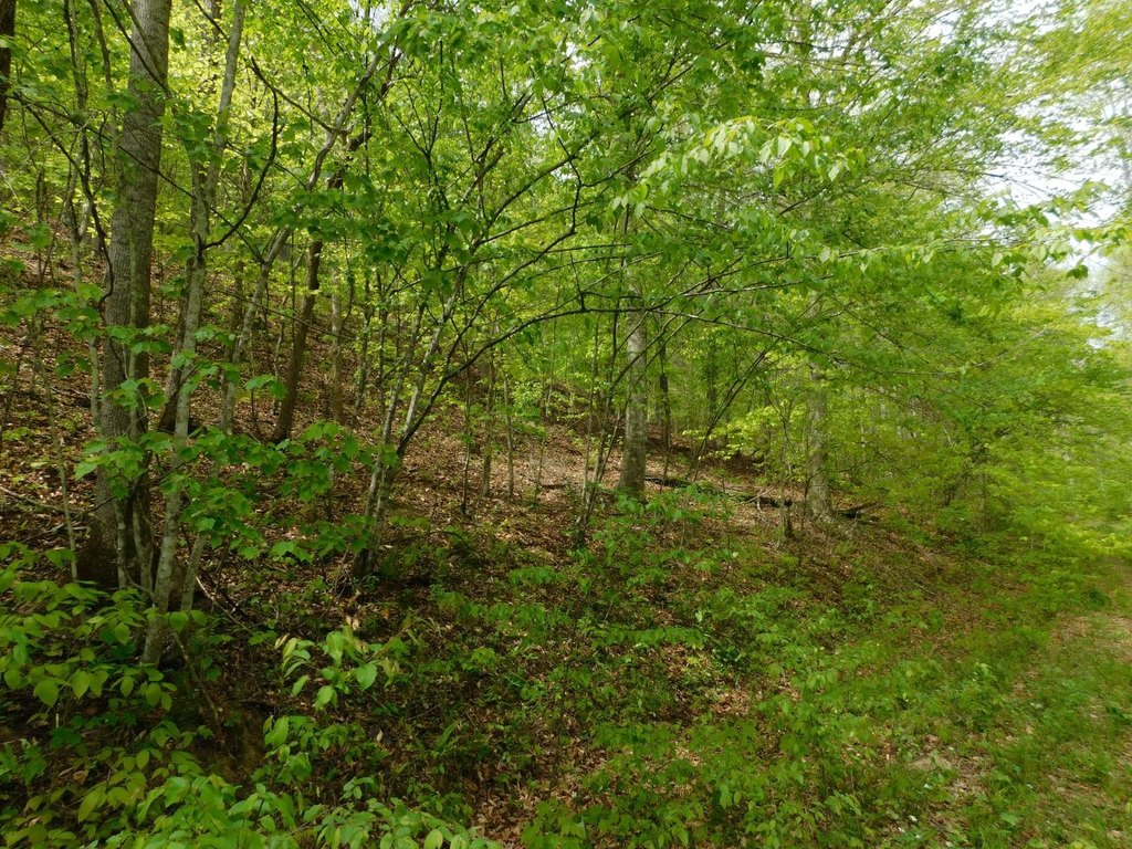 Picture 14