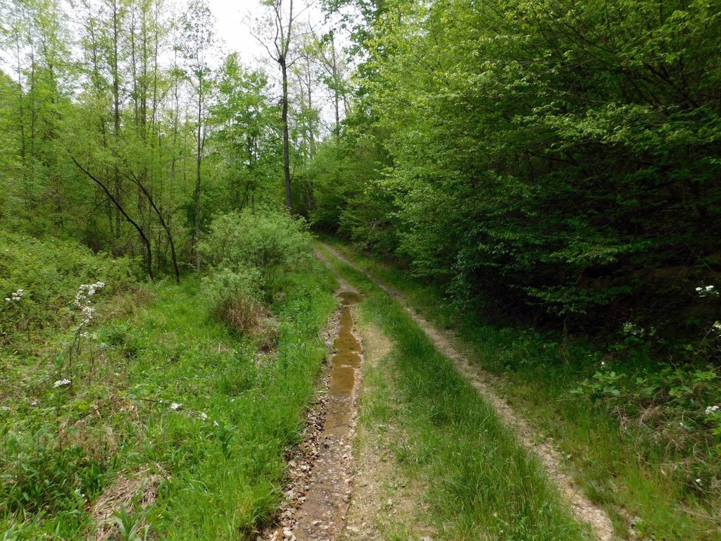 Picture 8