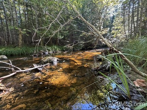 Remote Land Near Pictured Rocks