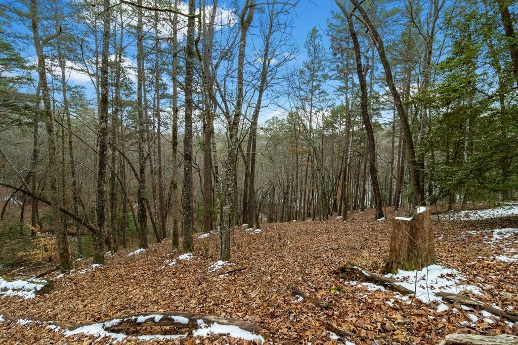 Blue Ridge Buildable Acreage