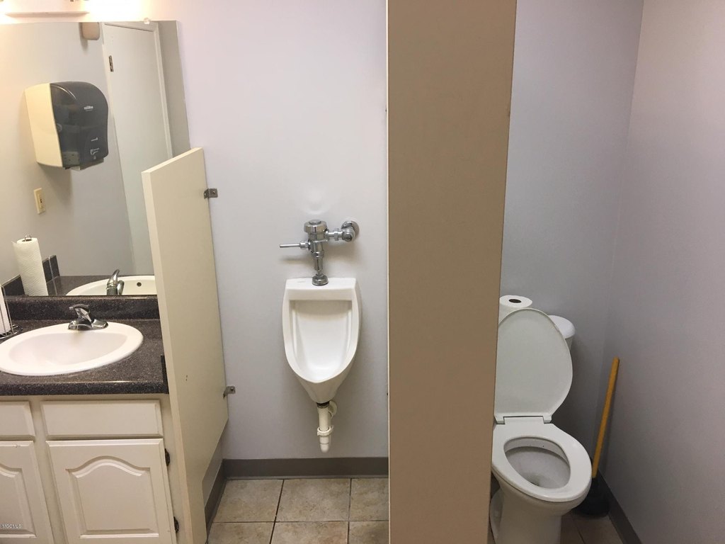 Picture 15