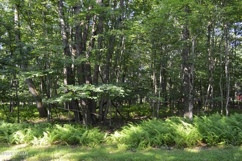 Lakeville Homesite in Rockledge Community