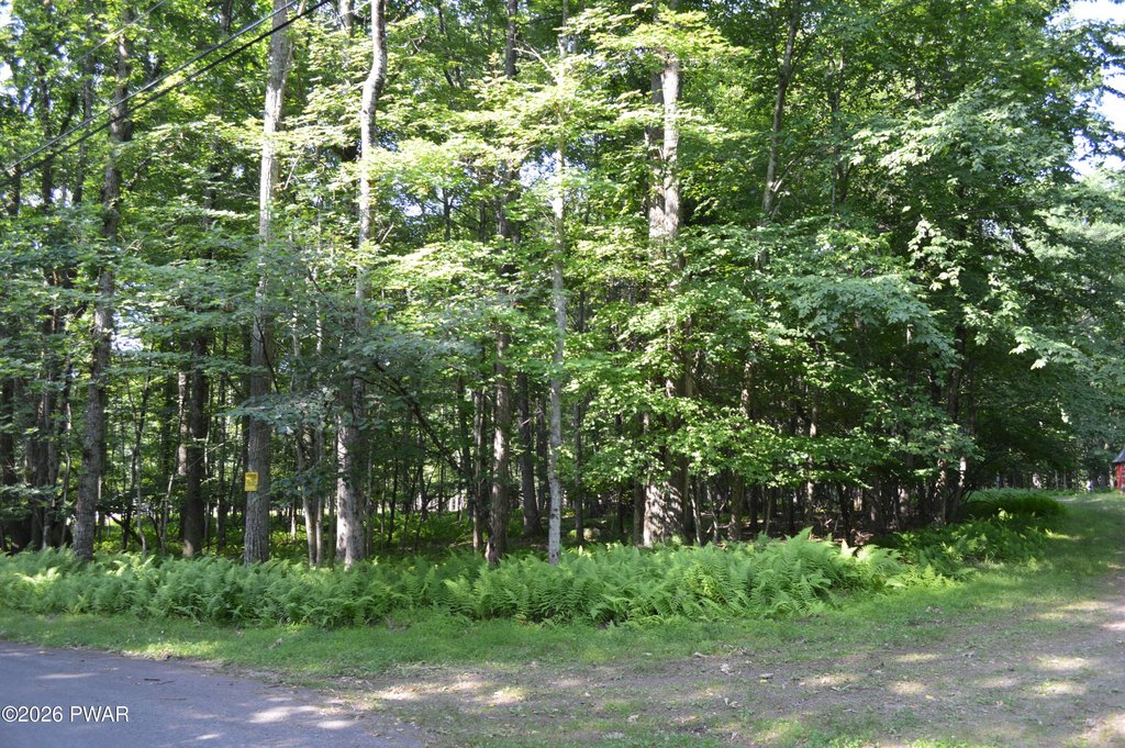 Picture 4