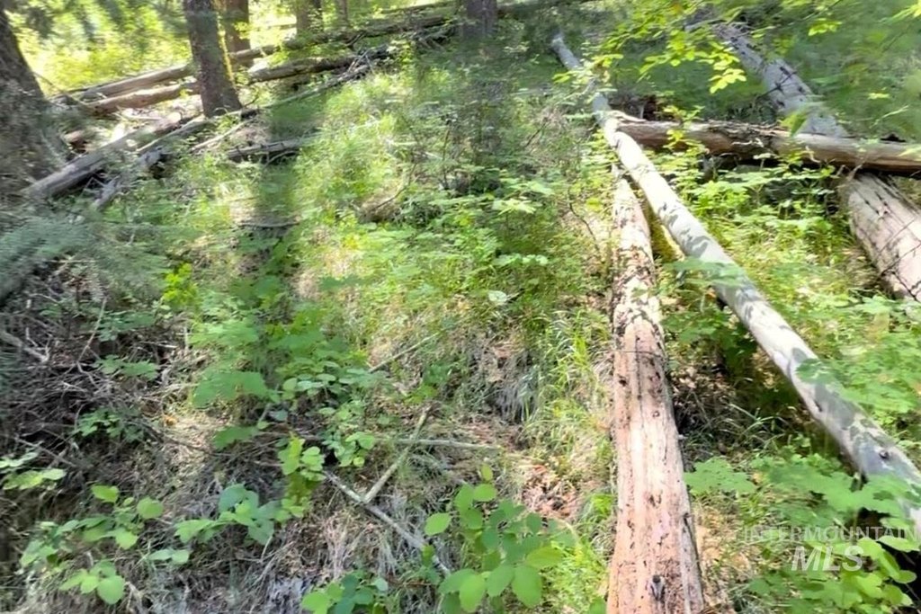 Picture 6