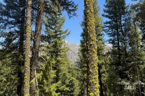 Wooded Recreation Land