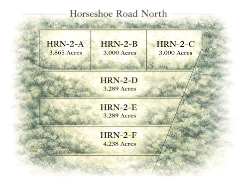 Spacious Vacant Land in Albany