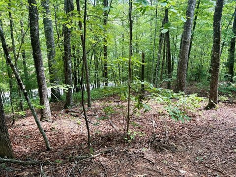 LAND - Bryson City, NC