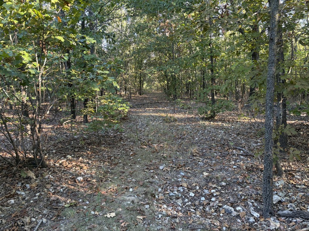 Picture 4