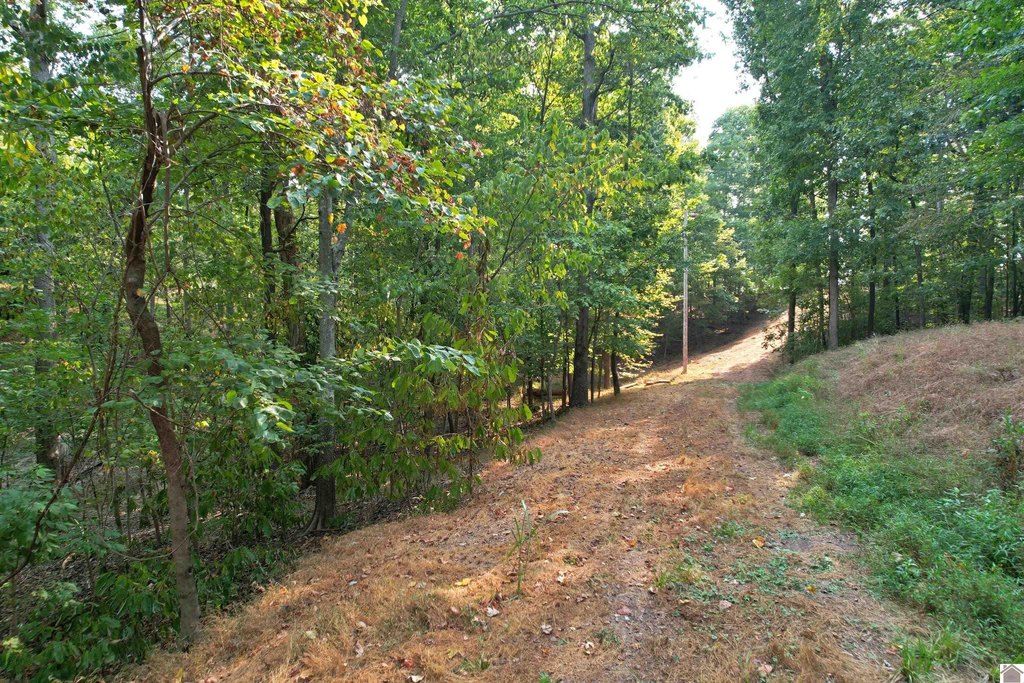 Picture 30