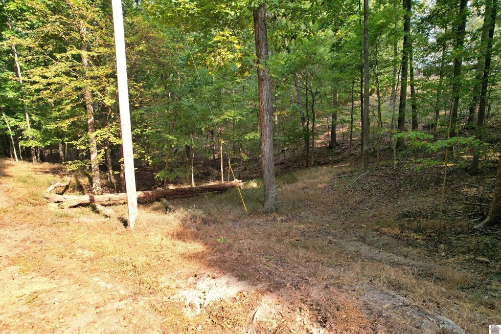 Picture 8