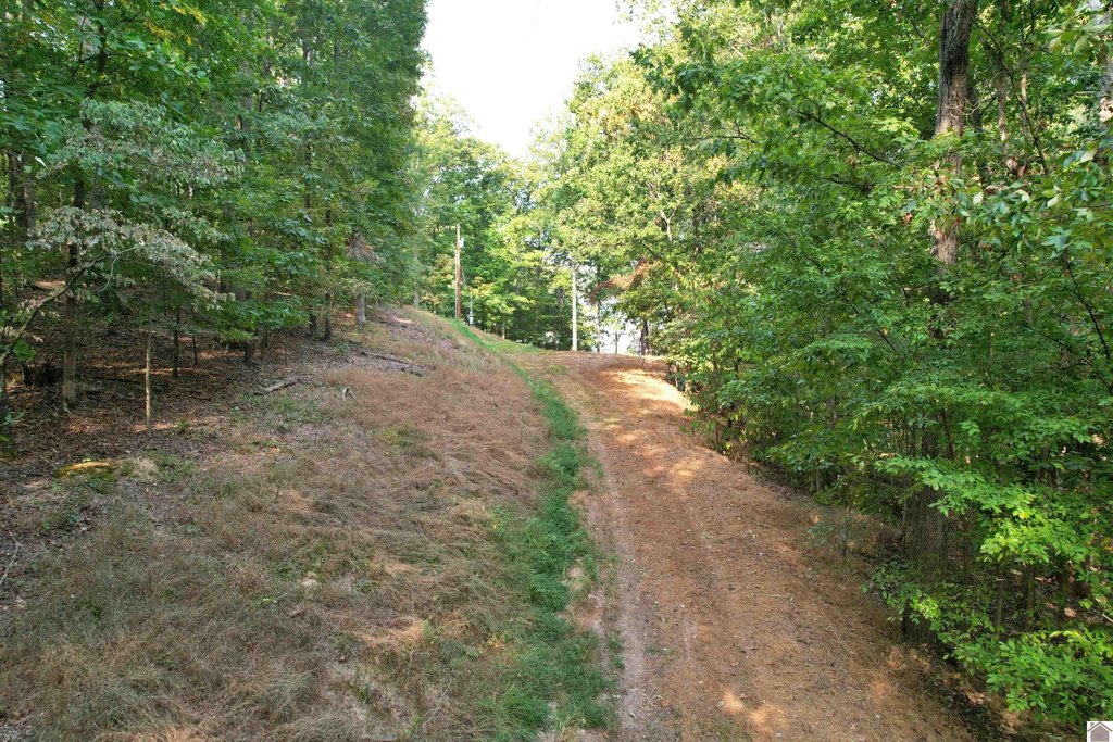 Picture 10