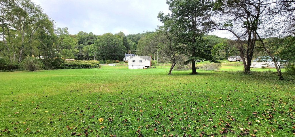Picture 11