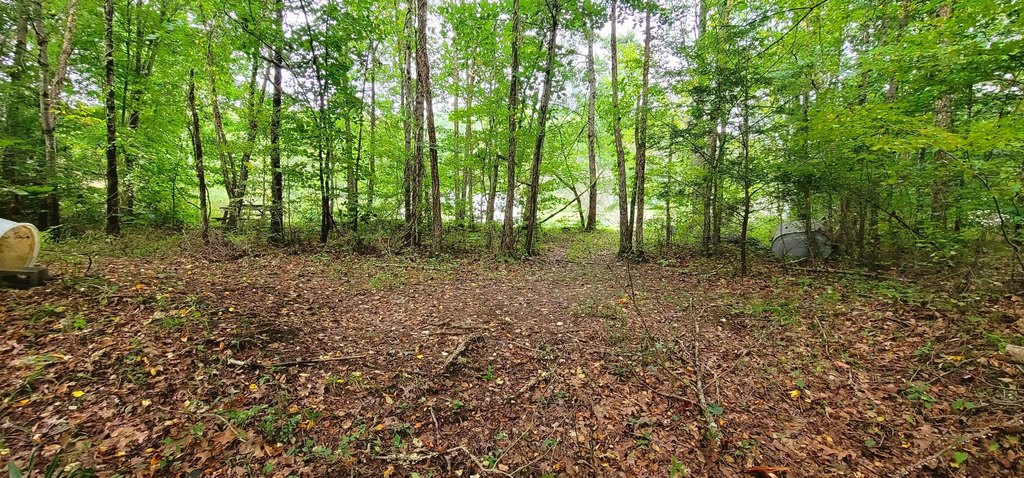 Picture 14
