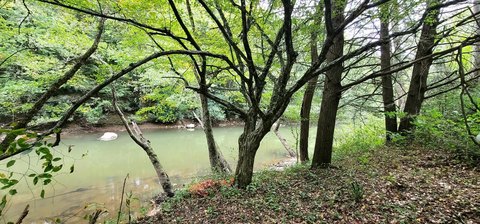 Land, Charmco, WV