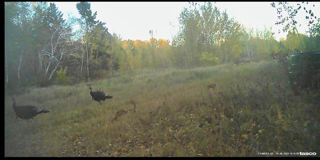 Picture 34