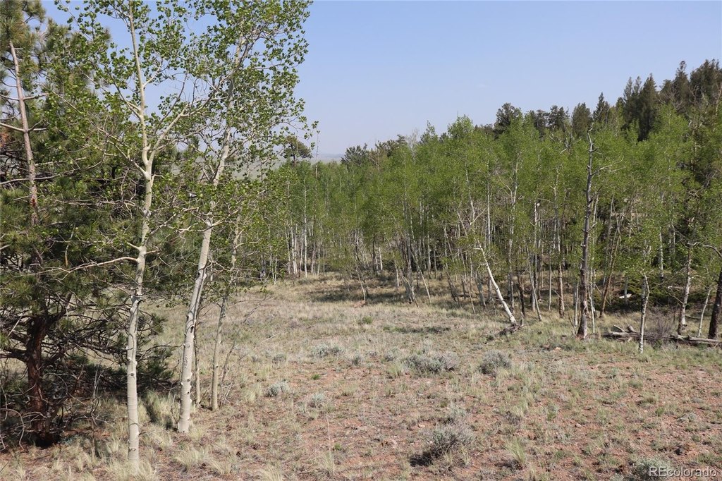 Picture 23