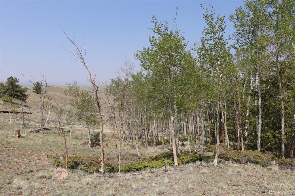 Picture 20