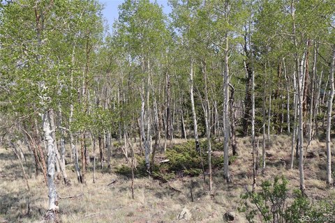 Land, Hartsel, CO