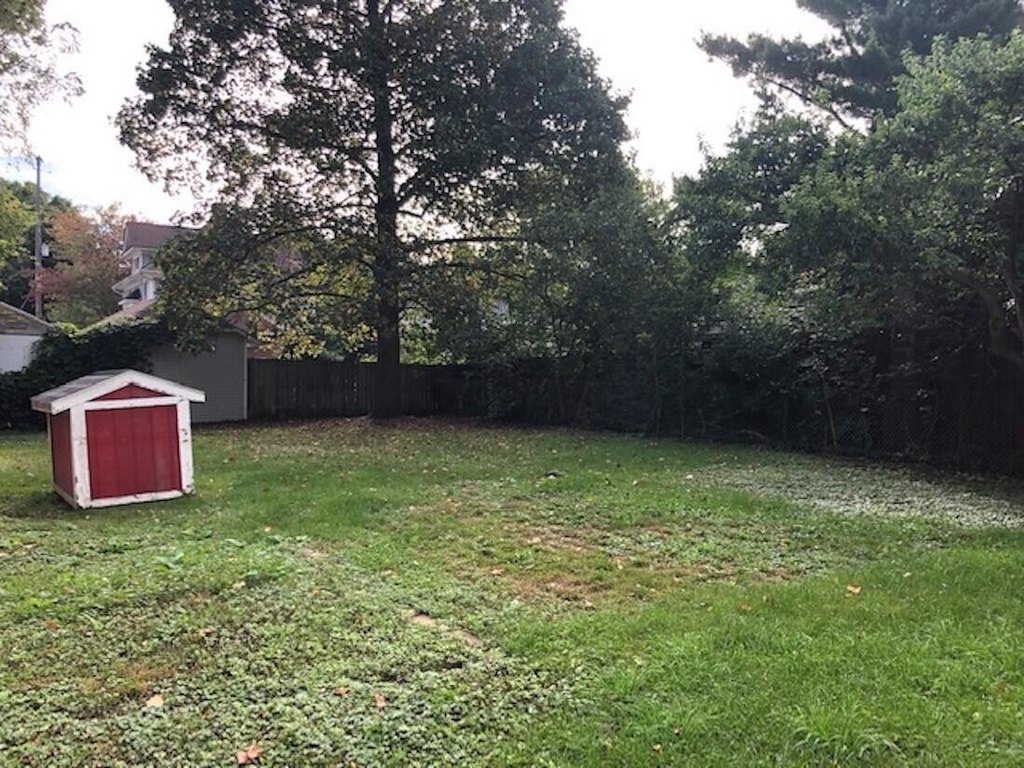 Picture 22