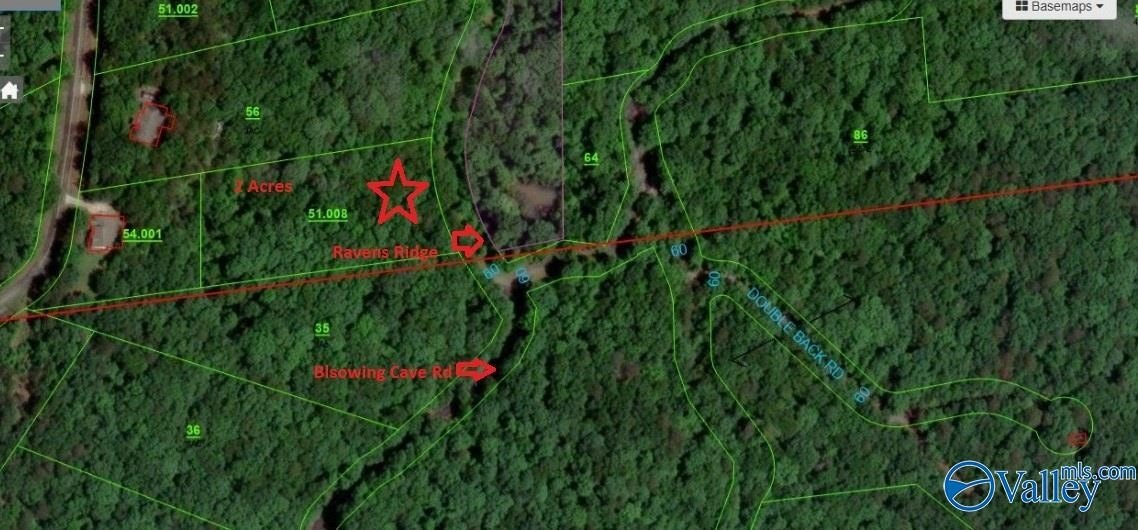 Wooded Land in Gurley, AL