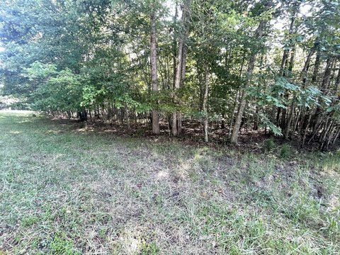 Land, Spencer, TN