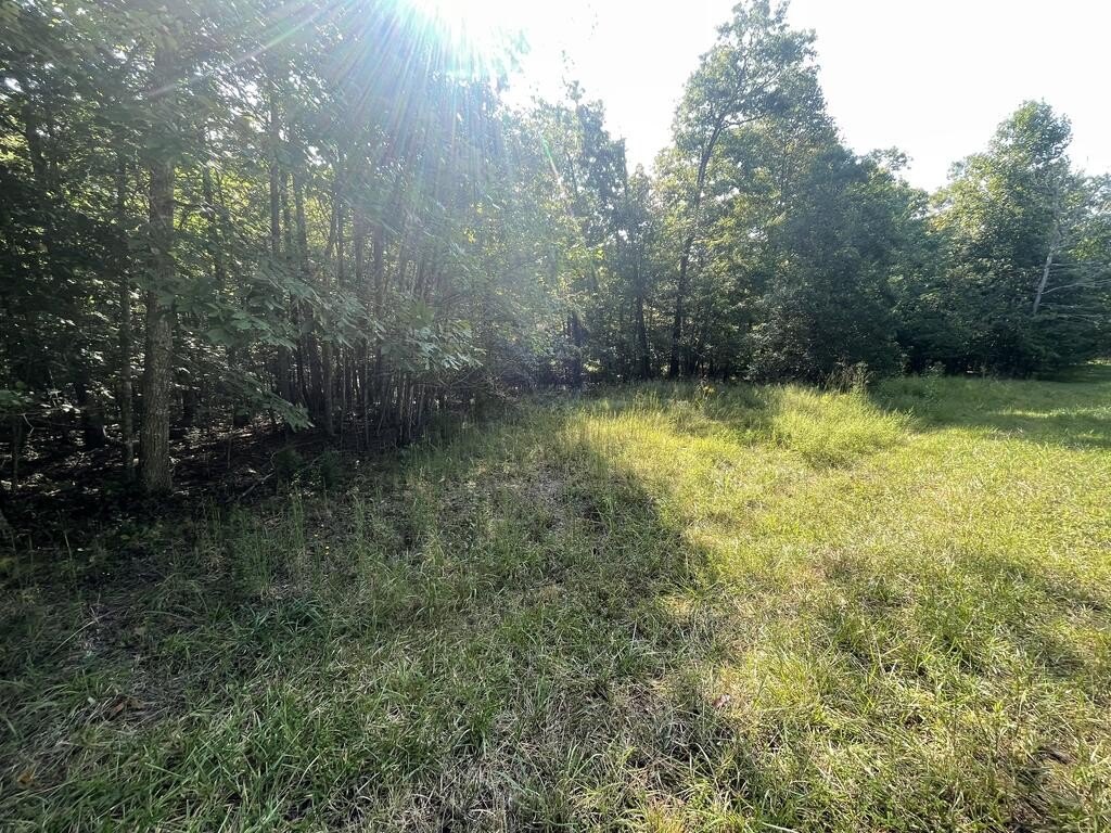 Picture 4