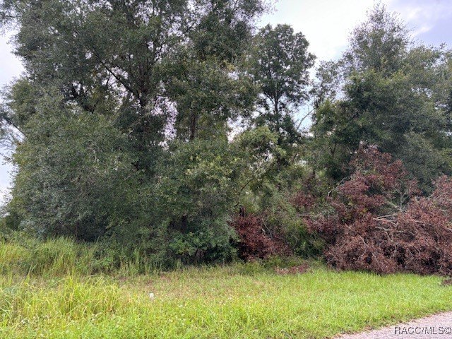 Citrus Springs Vacant Corner Lot