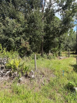 Land, MYAKKA CITY, FL