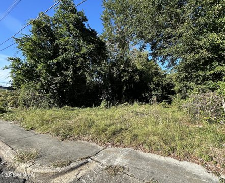 LAND - Macon, GA
