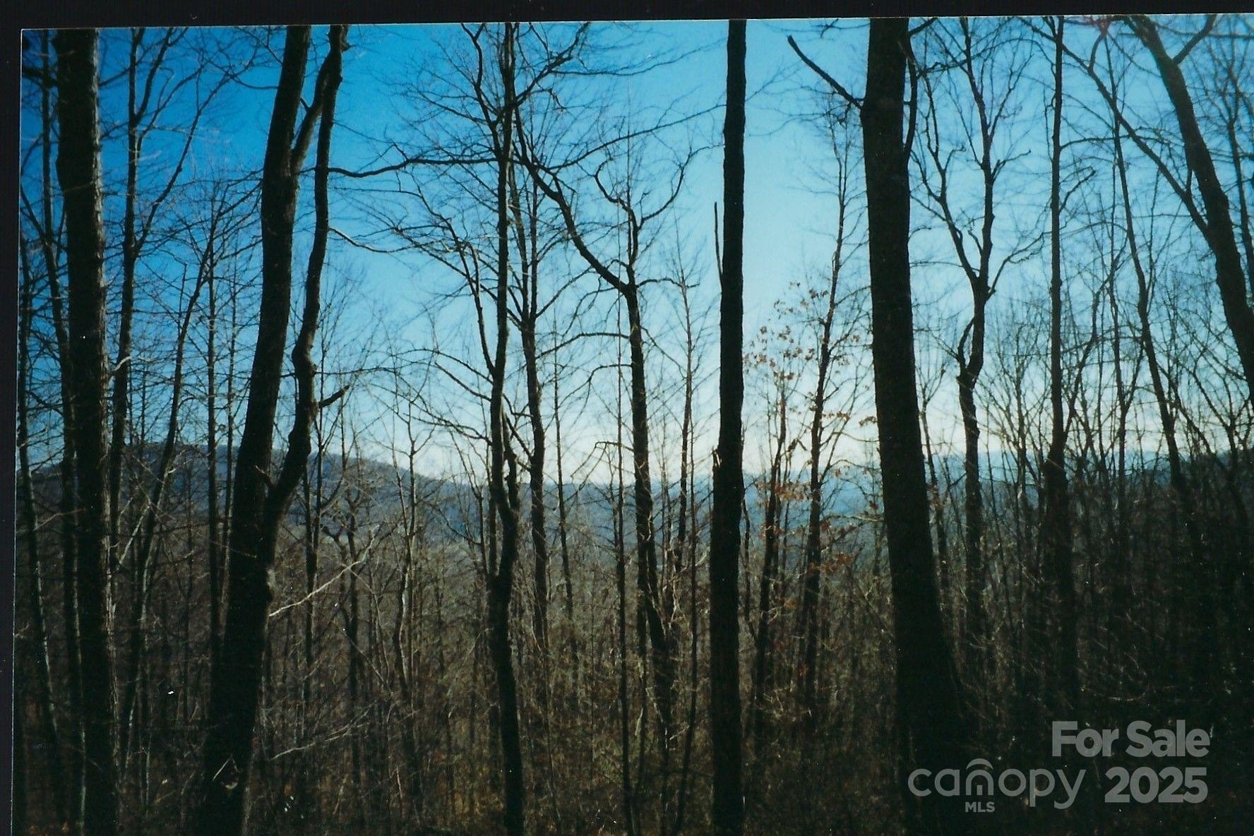 Spruce Pine Mountain Paradise Land