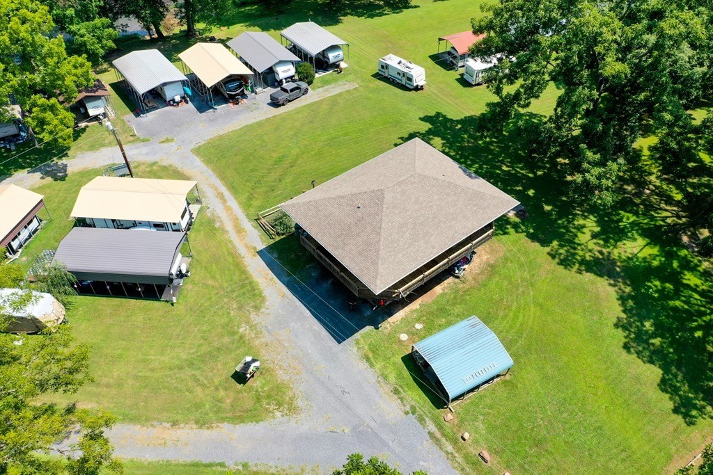 Picture 11