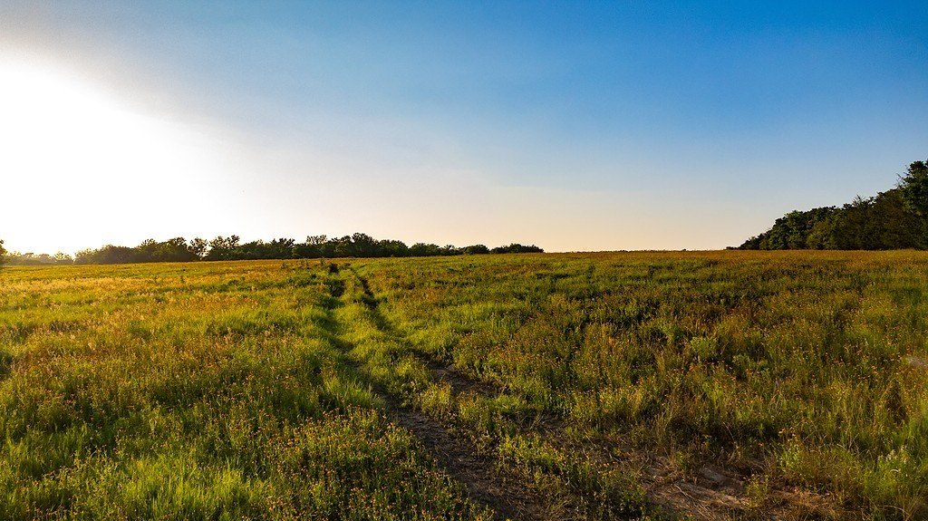 Cameron, TX Residential Land