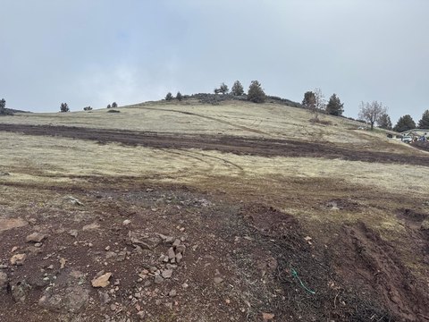 Land with Mountain Views