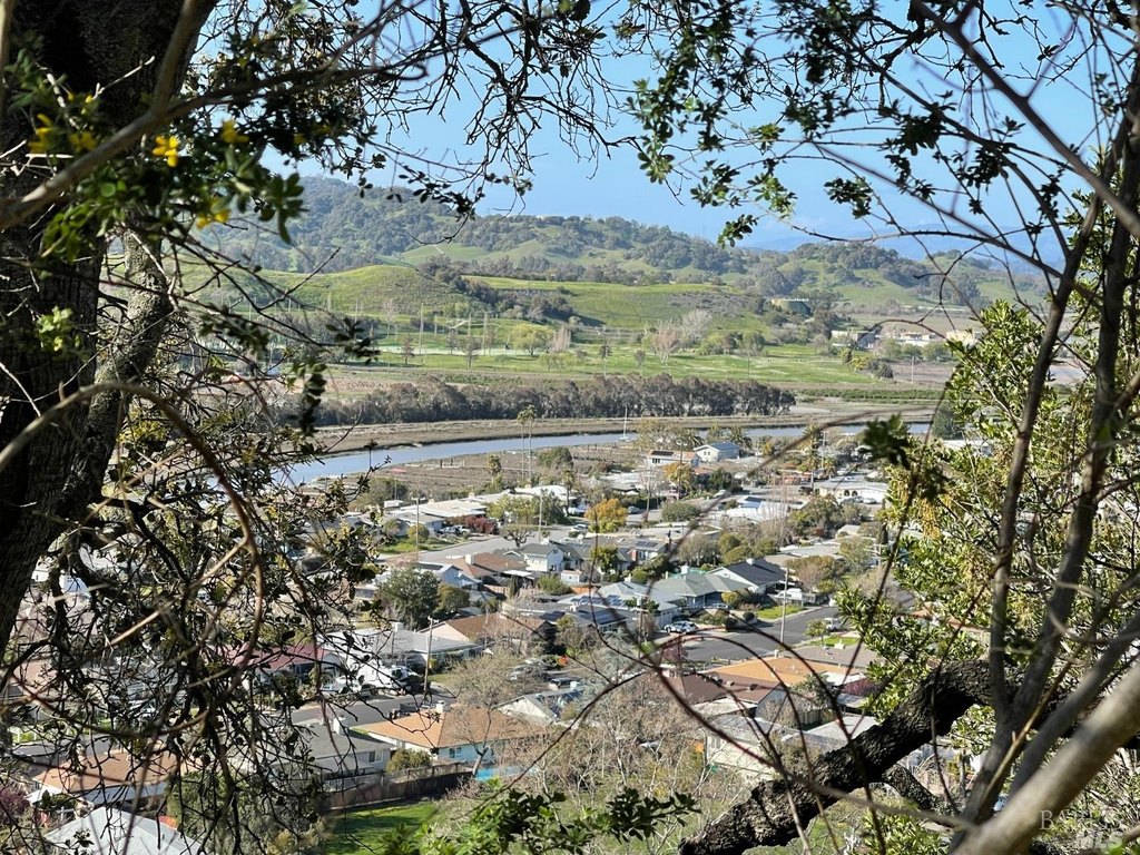 Picture 23