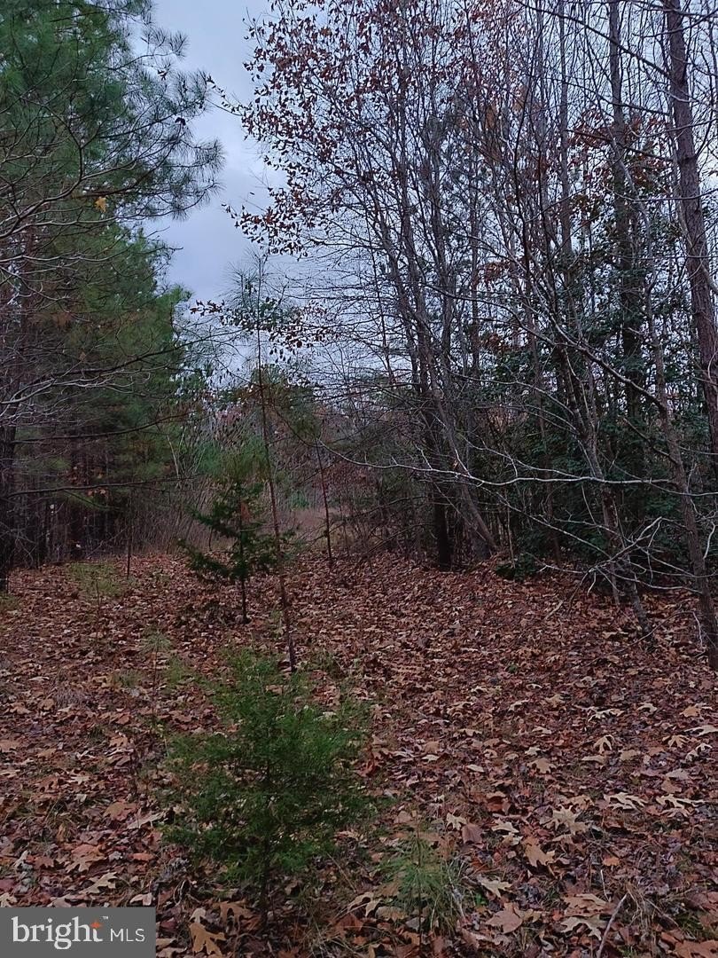 Prime Land on Route 1