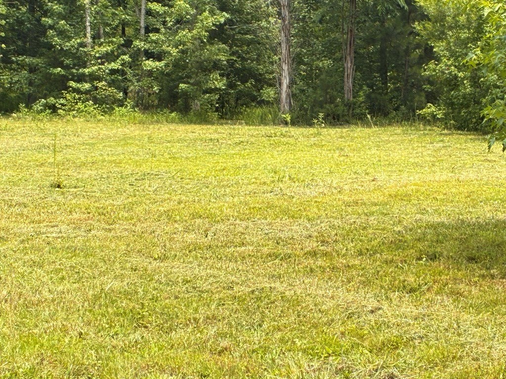Picture 7