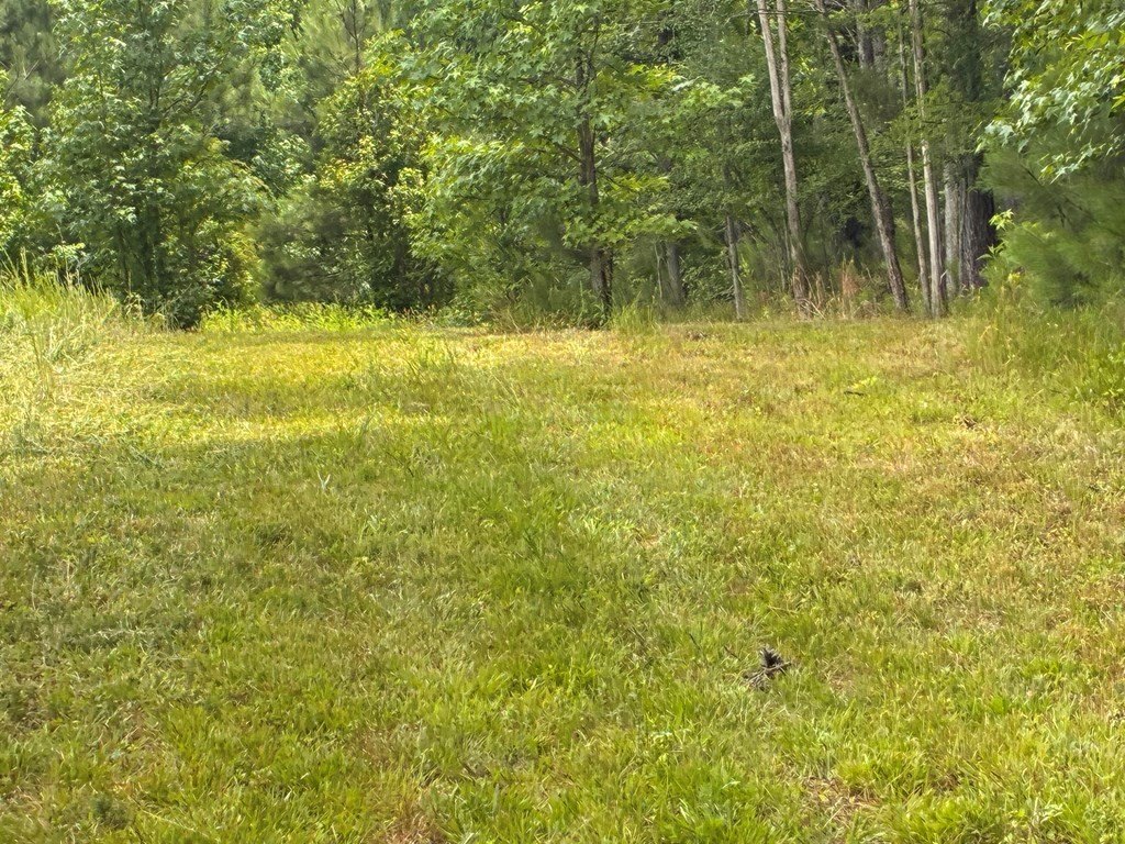 Picture 10
