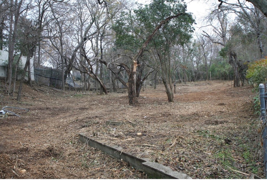 Picture 18