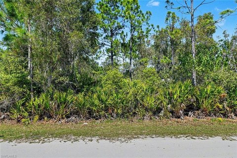 Residential Lot in Tropical Acres