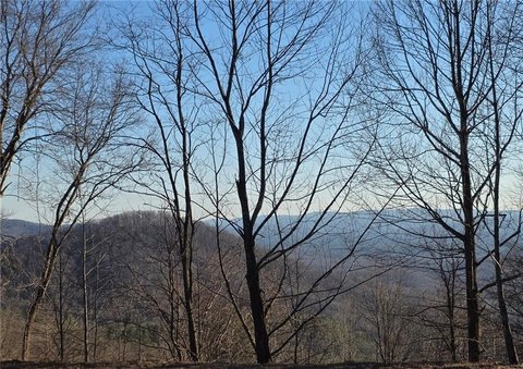 Ellijay Land with Mountain Views