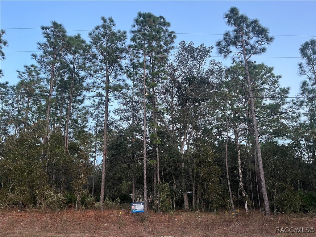 Citrus Springs Building Lot